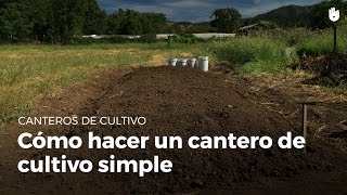 Canteros de cultivo  Cómo hacer un cantero de cultivo simple [upl. by Sterne]