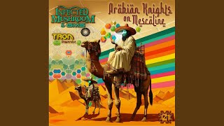 Arabian Knights on Mescaline Tron Remix [upl. by Durnan]