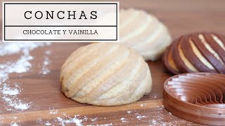 Como hacer conchas de chocolate y vainilla receta fácil Pan dulce de MexMundo [upl. by Yesnel14]