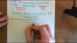 Amyotrophic Lateral Sclerosis ALS Part 1 [upl. by Sussman]