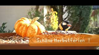 Schöne Herbstferien [upl. by Dearr]