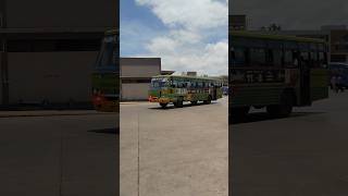 nwkrtc vijayapura belagavi mudhol KA29F1120 ashokleyland travel kkrtc ksrtc tourist trip [upl. by Irwin741]