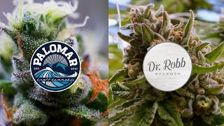 Hybrid Farms Dr Robb Farms and Palomar Craft Cannabis CannaCribs [upl. by Aeki753]