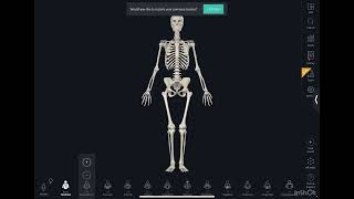 شون نحصل حساب مجاني؟ Amboss  Osmosis  complete anatomy [upl. by Eirb855]