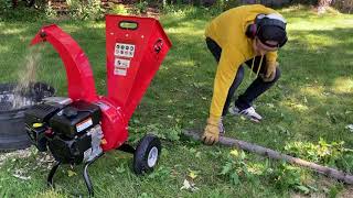 Great Circle mini wood chipper VS 12 tree [upl. by Mariska4]