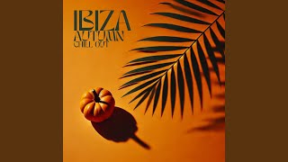 Ibiza Chill [upl. by Werner364]