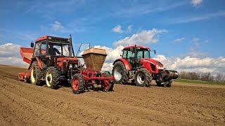 Sadzenie ziemniaków 2016 Structural  3x Zetor [upl. by Enoj954]