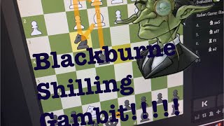 The Blackburne Shilling Gambit Trap [upl. by Hazard]