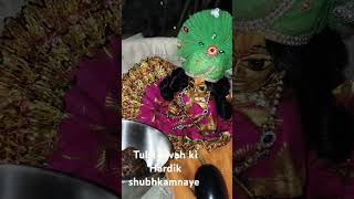 Tulsi Vivah ki Hardik shubhkamnaye jaishreekrishna [upl. by Icnan]