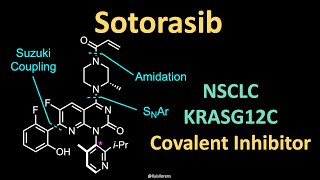 Sotorasib – Mechanism of Action and Synthesis [upl. by Cheryl292]