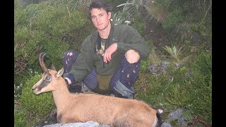 Chamois Hunting Torlesse Range Canterbury  Archive footage from 2005 [upl. by Farrell]