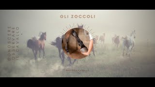 ♘ Cavalli  Gli Zoccoli [upl. by Ztnaj]