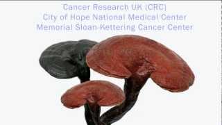 Reishi Mushroom and HIV  AIDS Public Domain Video [upl. by Tyree874]