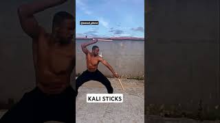 KALI STICKS filipino escrima kali martialarts [upl. by Brina]