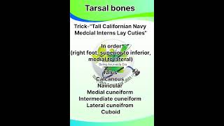 TARSAL BONES SHORT TRICK ytshortshumananatomyanatomyshorttrickmedicotarsalbonetrendingshorts [upl. by Machos273]