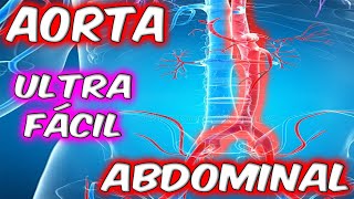 ENTENDÉ ESTE TEMA  GUÍA DE LA AORTA ABDOMINAL😱😱 [upl. by Sletten104]