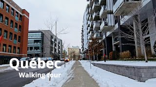 Chemin SteFoy  CÉGEP Garneau  ❄ Walking in Quebec city ❄  December Tour 2023 UHD [upl. by Lenroc]