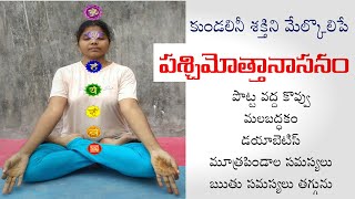 How To Do Paschimottanasana  Yoga For Kidneys  Yoga With Supraja [upl. by Naltiac]