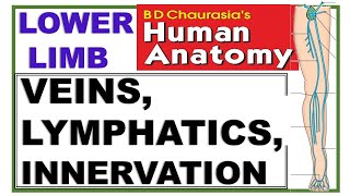 Chp11 BDC Vol2  Lower Limb  Venous amp Lymphatic Drainage and Cutaneous Innervation [upl. by Reteip]