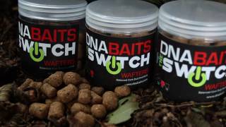 The Switch by DNA Baits  carp fishing [upl. by Kuhlman]