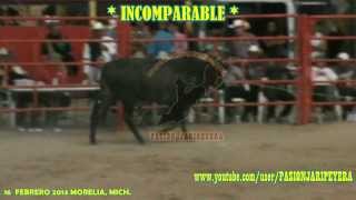 Espectacular INCOMPARABLE vs PEQUEÑO GUERRERO DE JALISCO DESTRUCTORES DE MEMO OCAMPO 2014 [upl. by Eiramait]