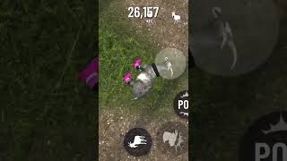 Anti gravity goat  Goat Simulator Pocket Edition goatsim shorts viral fyp foryoupage foryou [upl. by Lesirg]