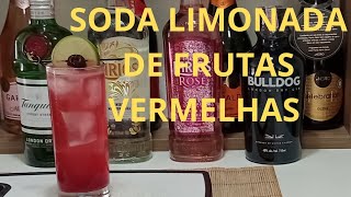 COMO FAZER SODA LIMONADA DE FRUTAS VERMELHAS [upl. by Chastity25]