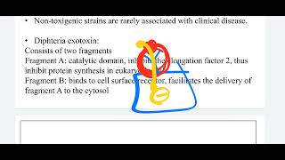 Medical Microbiology Non spore forming Gram Positive lec4 [upl. by Ynnob]