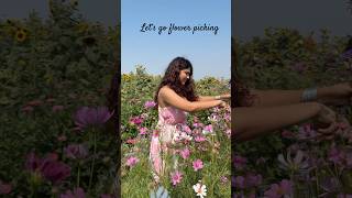 Flower picking in Boise Idaho flowerplant [upl. by Daisey]