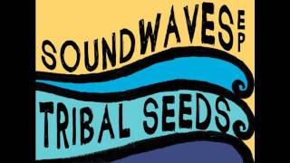 Tribal Seeds  In Your Eyes [upl. by Booker697]