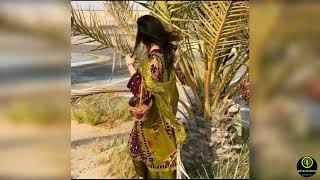 Dagaan Chari Beeso sabz ali bugti songs  balochi song  sabz ali bugti new song 2022 [upl. by Esil]