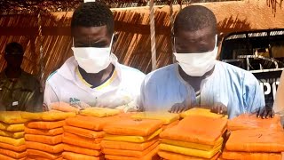 Niger  Saisie dune importante quantité de drogue par lantenne départementale [upl. by Pryce501]