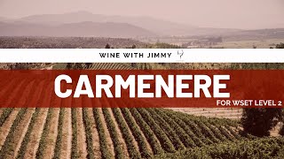 Grape Varieties  Carmenere Intermediate Version ideal for WSET Level 2 Wine [upl. by Ehrman904]