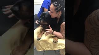 Zeus the Rottweiler dies in my arm on Part 2 on 62619 [upl. by Newg]