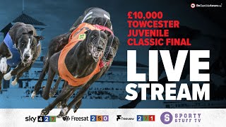 £10000 Towcester Juvenile Classic Final  Live Greyhound Racing  Racing Post Greyhound TV [upl. by Suoirred660]