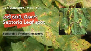 Septoria Leaf spot of Tomatosympsampcontrol measuresಟೊಮ್ಯಾಟೋ ಎಲೆ ಚುಕ್ಕಿ ರೋಗ ಲಕ್ಷಣಗಳು amp ಹತೋಟಿ ಕ್ರಮಗಳು [upl. by Einaeg]