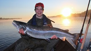 Salmon fishing in Naamisuvanto Pello Lapland Finland 2014 Tornio River Tornionjoki lohenkalastus [upl. by Holofernes503]