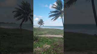 Praia de Intermares  Cabedelo PB youtubeshorts praia paraiba beach nordeste travel shorts [upl. by Enal993]