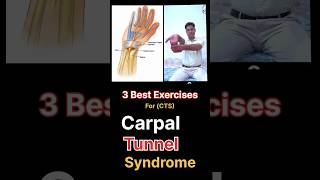 3 best exercises for carpal tunnel syndrome  Exercises for CTS Carpal Tunnel Syndrome [upl. by Cavanagh]