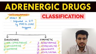 Autonomic Pharmacology  14  Adrenergic Drugs Classification  EOMS [upl. by Eudoca]