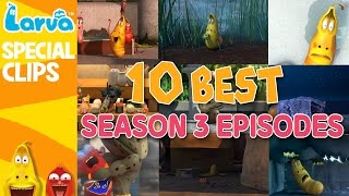 Official Best Larva Episodes  Season 3  Top 10 [upl. by Minnnie]