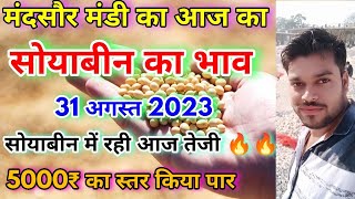 Mandsaur Mandi Ka Aaj Ka Soybean Ka Bhav  Aaj Ka Soyabin Ka Bhav  Today Soybean Market Rate [upl. by Adnalro]