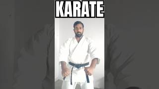 ONLINE KARATE CLASS JOIN KARNE KE LIYE CALL KAREN 9638486088  karatesir karate onlinekarate [upl. by Shanie]