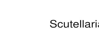 How to pronounce Scutellaria [upl. by Ennoirb73]