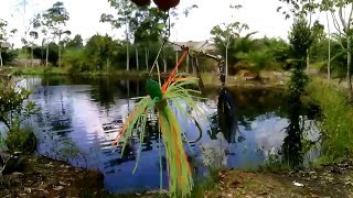 Street Fishing with lure SpinnerBait Strike Ikan Kerandang [upl. by Nrehtac227]