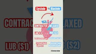 Systole vs Diastole systolic diastolic nursingschool nursingschoolstudents nursingstudent [upl. by Ziladnerb]