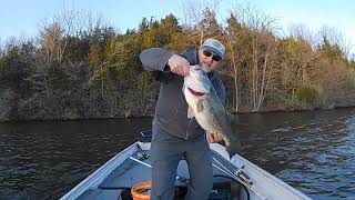 Spinnerbait Tips and Tricks [upl. by Akemehc]