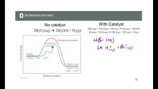 Catalysis and Enzymes CH 14 9182024 [upl. by Tegan]