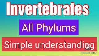 InvertebratesAll phylaAnimal biodiversity 1BiologyINVERTEBRATESA complete Understanding [upl. by Annoyi]