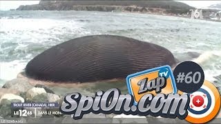 Le zap TV de Spi0n 60 [upl. by Ifar]